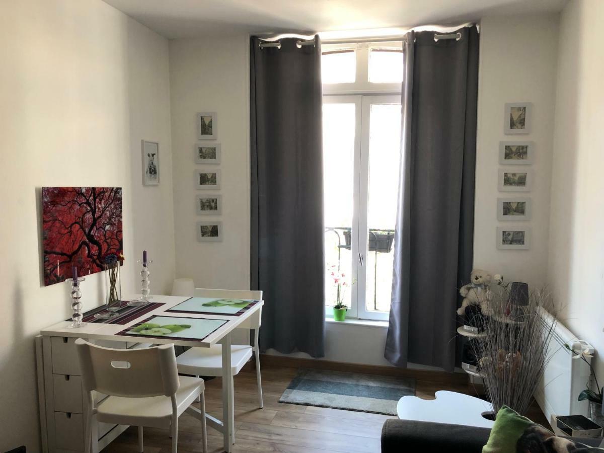 Centre Historique Proche Chateau Et Apartment *